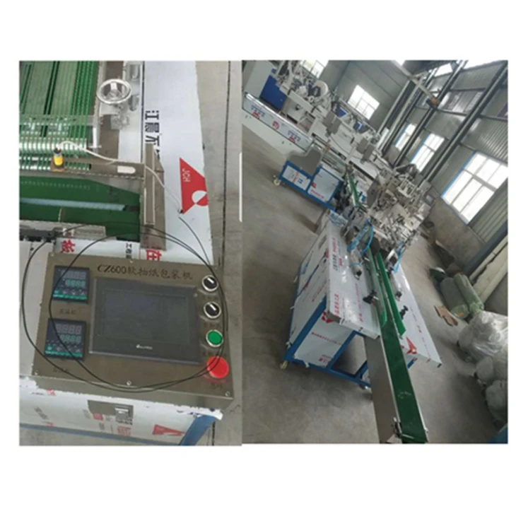 Facial Paper Packing Machine